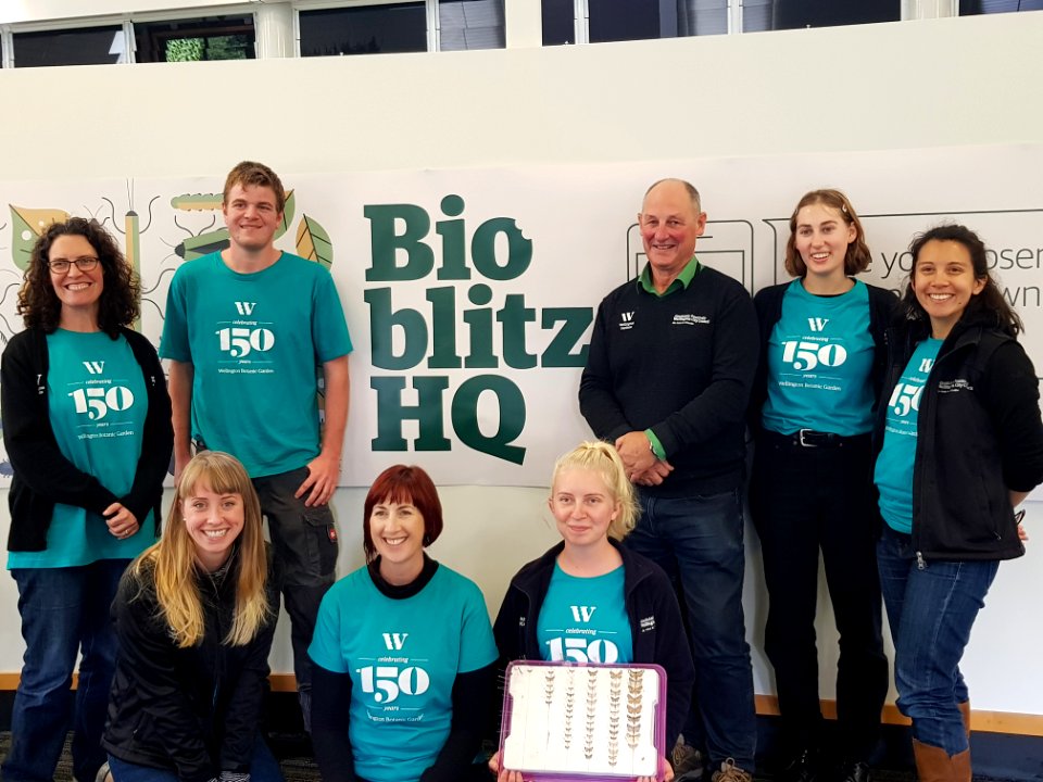 Wellington Botanic Garden Staff at BioBlitzWBG