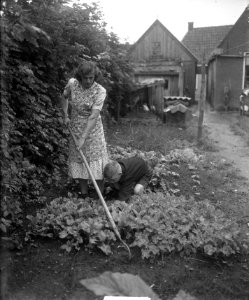 Werkend in de tuin, Bestanddeelnr 904-0717