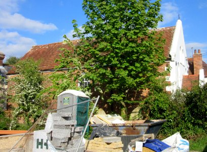 Wellow Baptist Church, Main Road (B3401), Wellow (May 2016) (1)