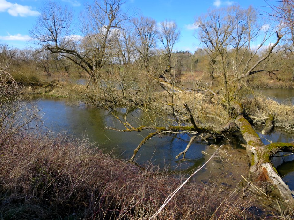 Werkkanal Haag an der Amper 2