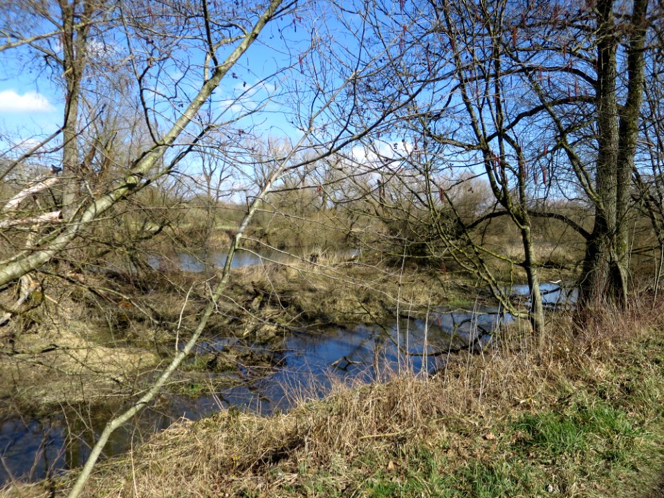 Werkkanal Haag an der Amper 1