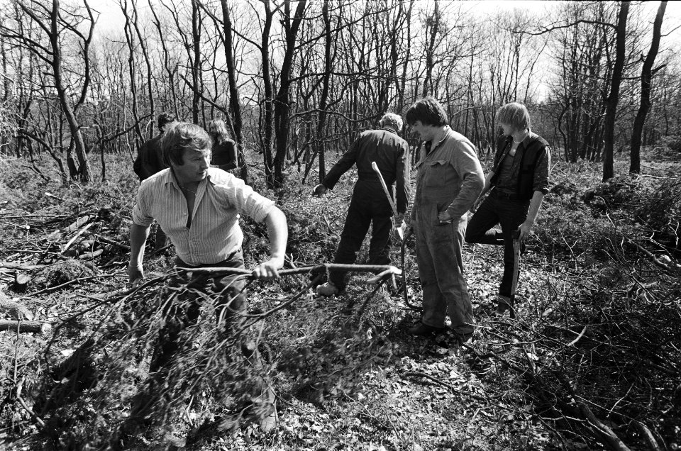 Werklozen vrijwillig (met behoud van uitkering) aan het werk in bossen bij Nunsp, Bestanddeelnr 932-1117