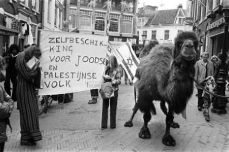 Werkgroep Israel demonstreert in Utrecht i.v.m. 28e onafhankelijkheidsdag Israel, Bestanddeelnr 928-5604 photo