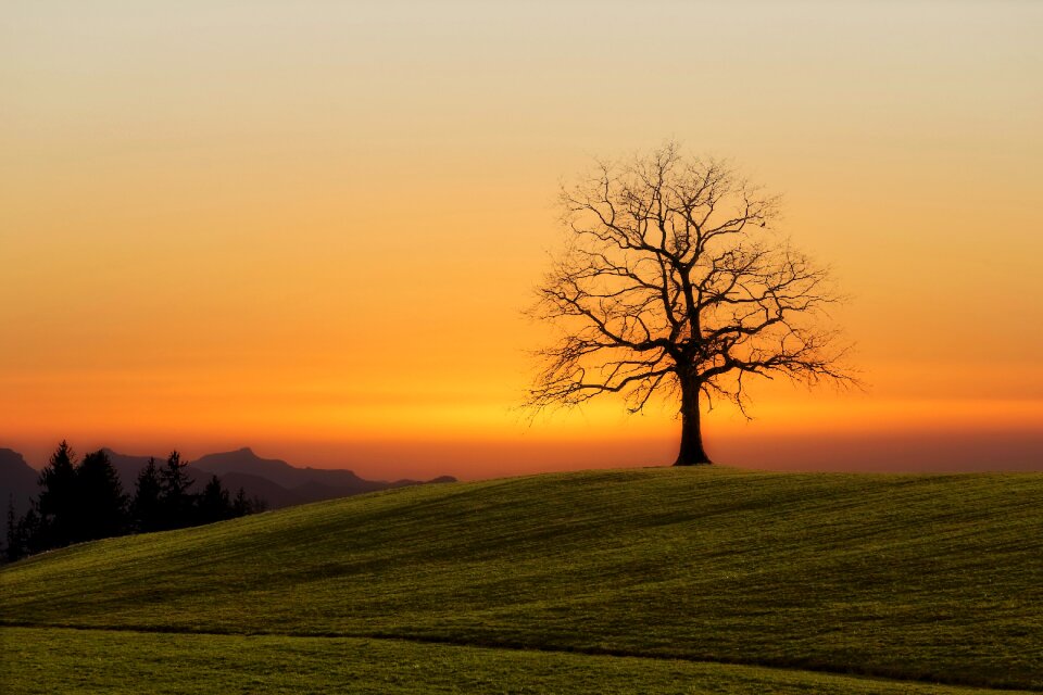 Farm nature highland photo