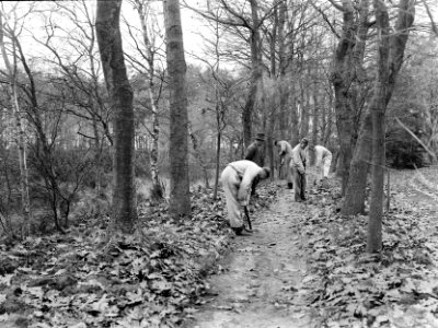 Werkkampen, mensen, fietspaden, schoonmaken, t wijde veld, Bestanddeelnr 162-1354