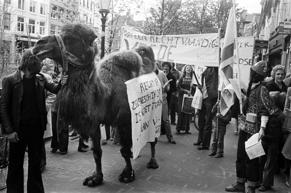 Werkgroep Israel demonstreert in Utrecht i.v.m. 28e onafhankelijkheidsdag Israel, Bestanddeelnr 928-5603
