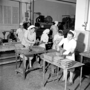 Werknemers van de Elite chocoladefabriek bereiden chocolade, Bestanddeelnr 255-0205
