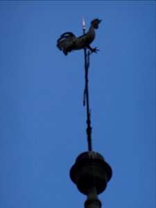 Weather vane St. Thomas's Church Rateče 1