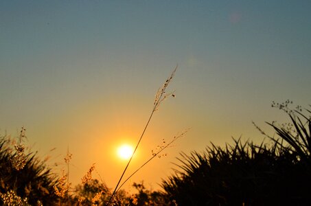 Sky sol tranquility