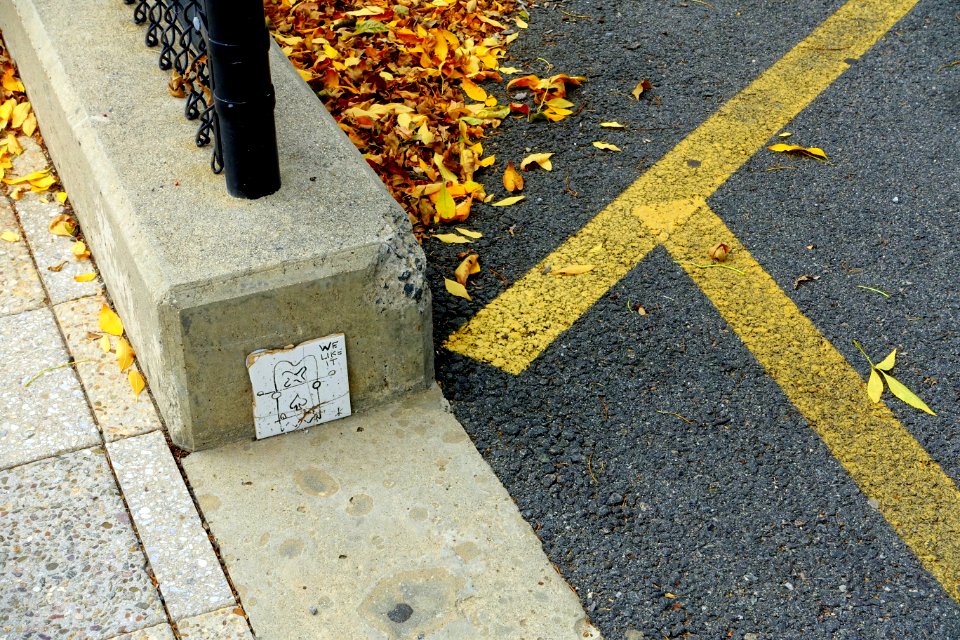 We Like It - Cambridge, MA - DSC07609
