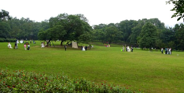 Wedding photos - Chengdu Botanical Garden - Chengdu, China - DSC03628