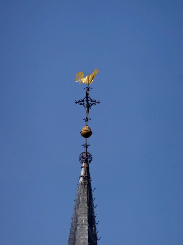 Weather vane in Almelo 2