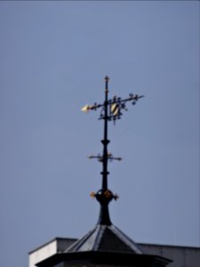 Weather vane in Almelo 3