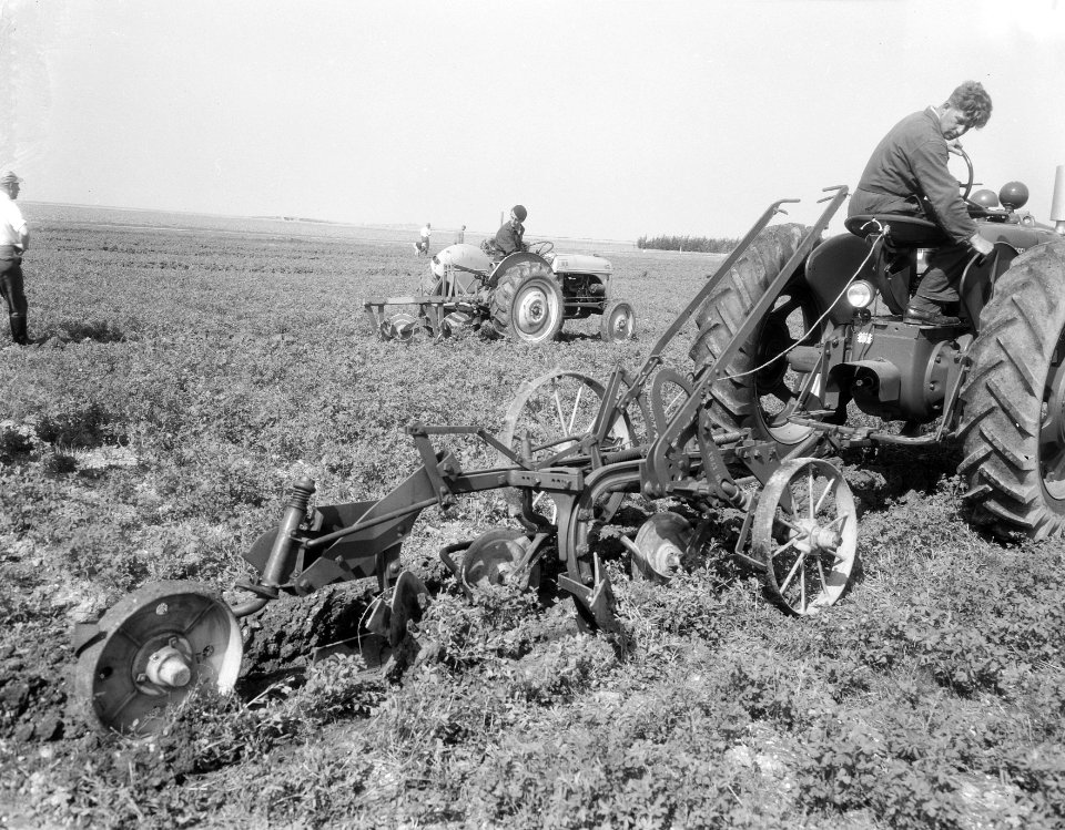 Wedstrijd ploegen in de Noordoostpolder, Bestanddeelnr 906-6507