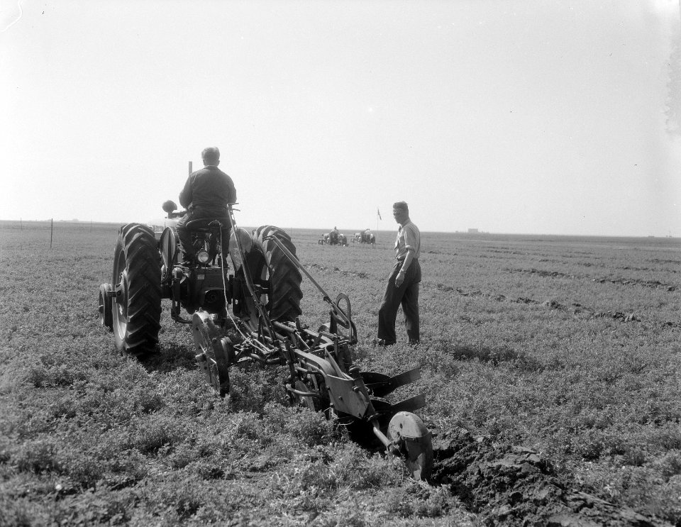 Wedstrijd ploegen in de Noordoostpolder, Bestanddeelnr 906-6505