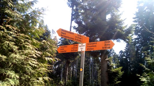 Wegweiser Oschwand Eggstutzwald