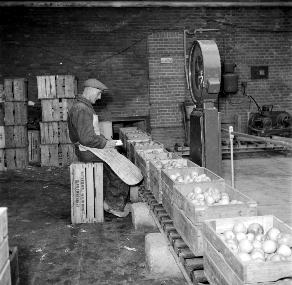 Wegen van kisten met appels op kwekerij de Olmenhorst in Abbenes, Bestanddeelnr 254-5342