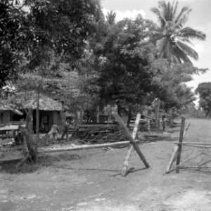 Wegversperring bij de tijdelijke militaire basis, Bestanddeelnr 255-8256