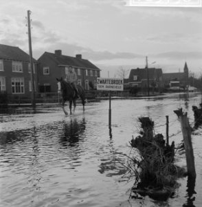 Wateroverlast in de Gelderse Vallei man te paard rijdt door het water in Zwarte, Bestanddeelnr 918-5498