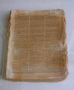 Webster's Dictionary pages - O. Henry Museum - Austin, Texas - DSC09241