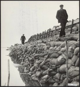 Watersnood 1953. Aan de wandel op Tholen langs de nieuwe zeedijk tussen Sint Ann, Bestanddeelnr 059-1270