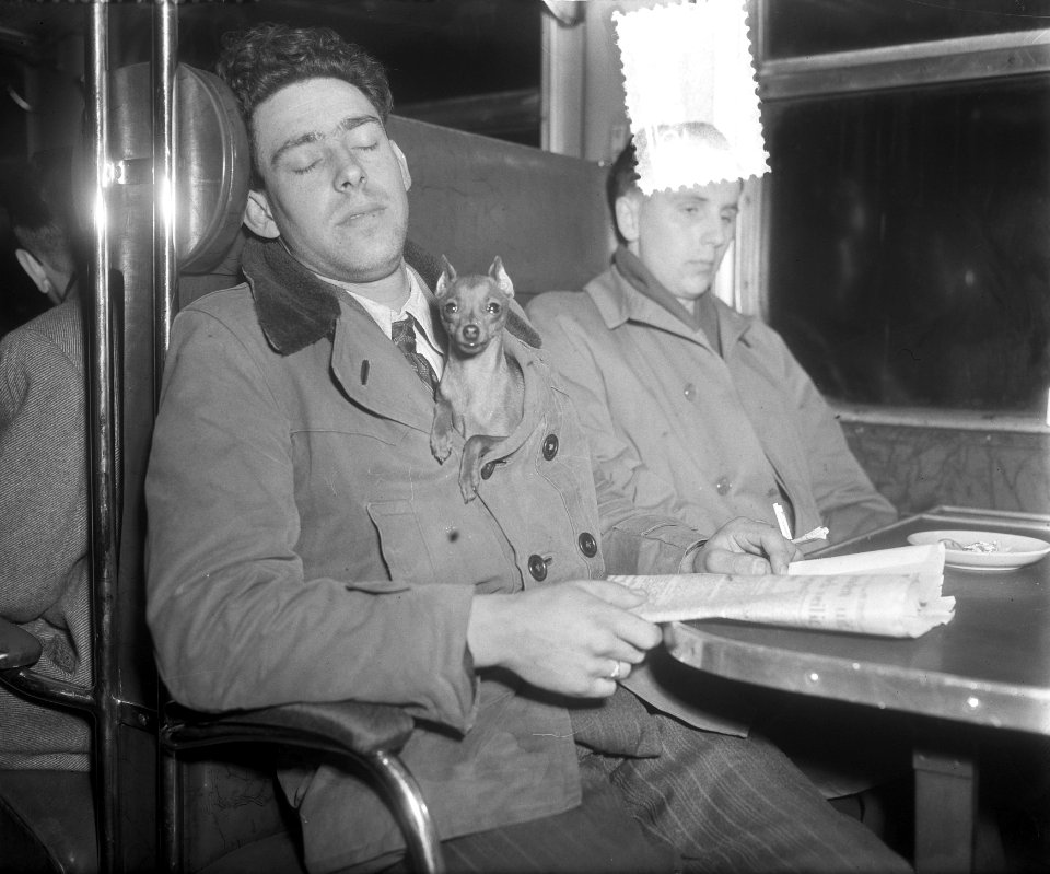 Watersnood 1953. Arie Geerts redt 48 man in Klundert, Bestanddeelnr 905-5370