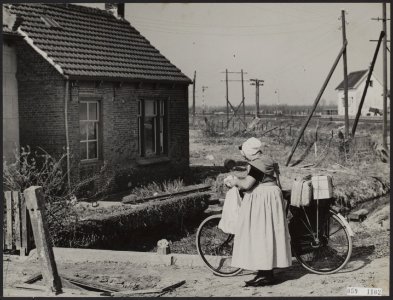 Watersnood 1953. Terugkeer van de bevolking na de evacuatie. Nu de dijk bij Rill, Bestanddeelnr 059-1102