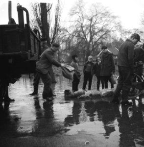 Watersnood in Borculo, zandzakken worden als dijk gelegd, Bestanddeelnr 911-8527