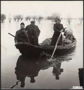 Watersnood 1953 Evacuees worden per roeiboot uit Tholen in Halsteren binnengebr, Bestanddeelnr 059-1276