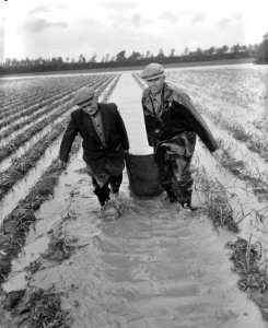 Wateroverlast in Noord Beveland ,, Bestanddeelnr 911-6687