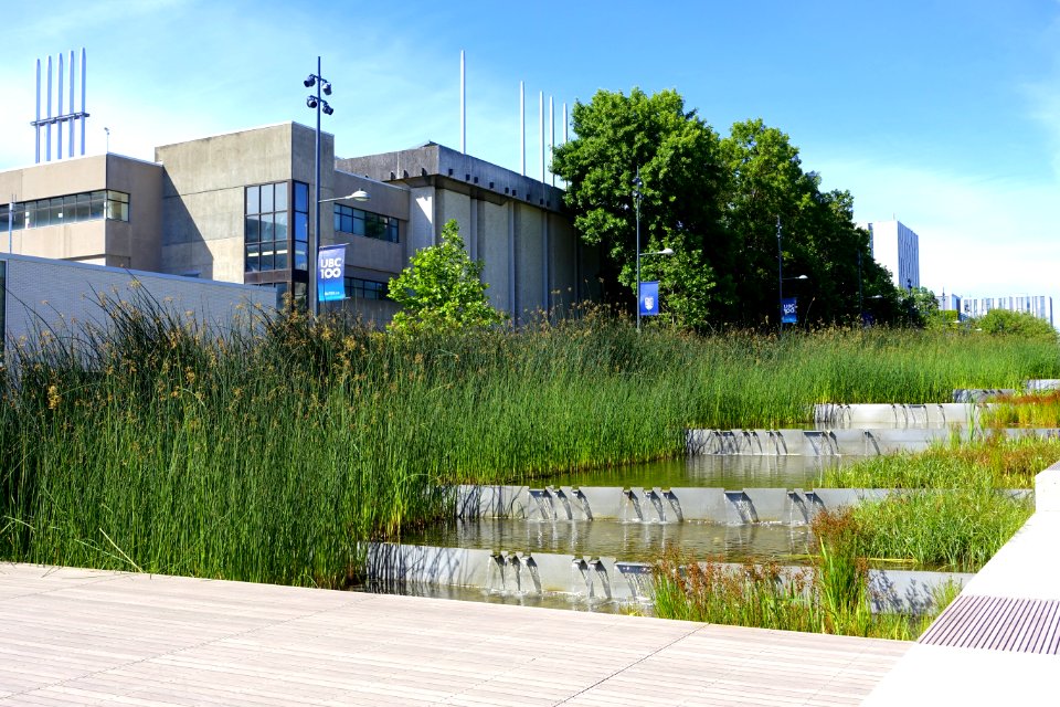 Waterway, University Boulevard - University of British Columbia Vancouver - DSC07655