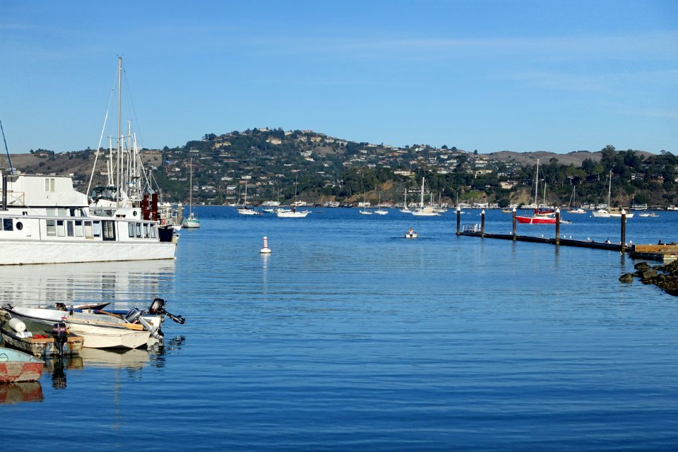 Waterside - Sausalito, CA - DSC03245