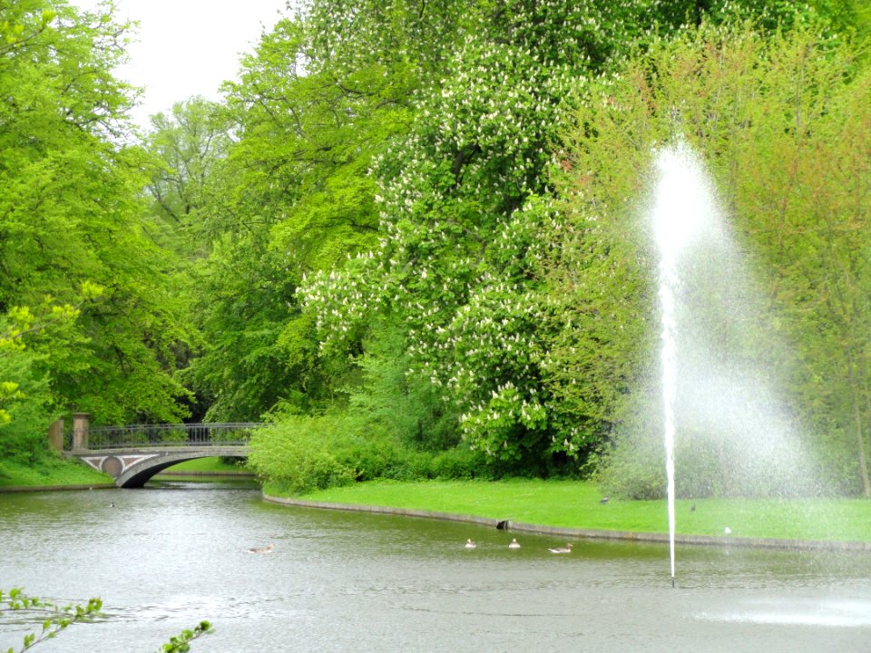 Waterway - Frederiksberg Have - Copenhagen - DSC08922