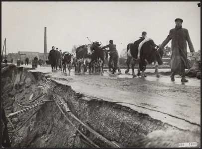 Watersnood 1953, Bestanddeelnr 059-1000