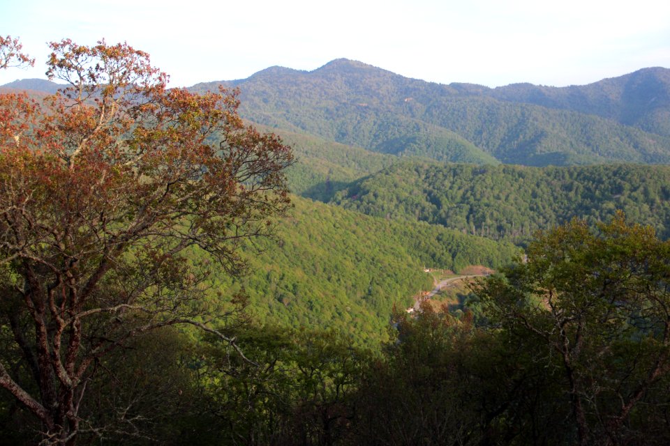Waterrock Knob viewed from the Plott Balsams overlook, May 2017 1