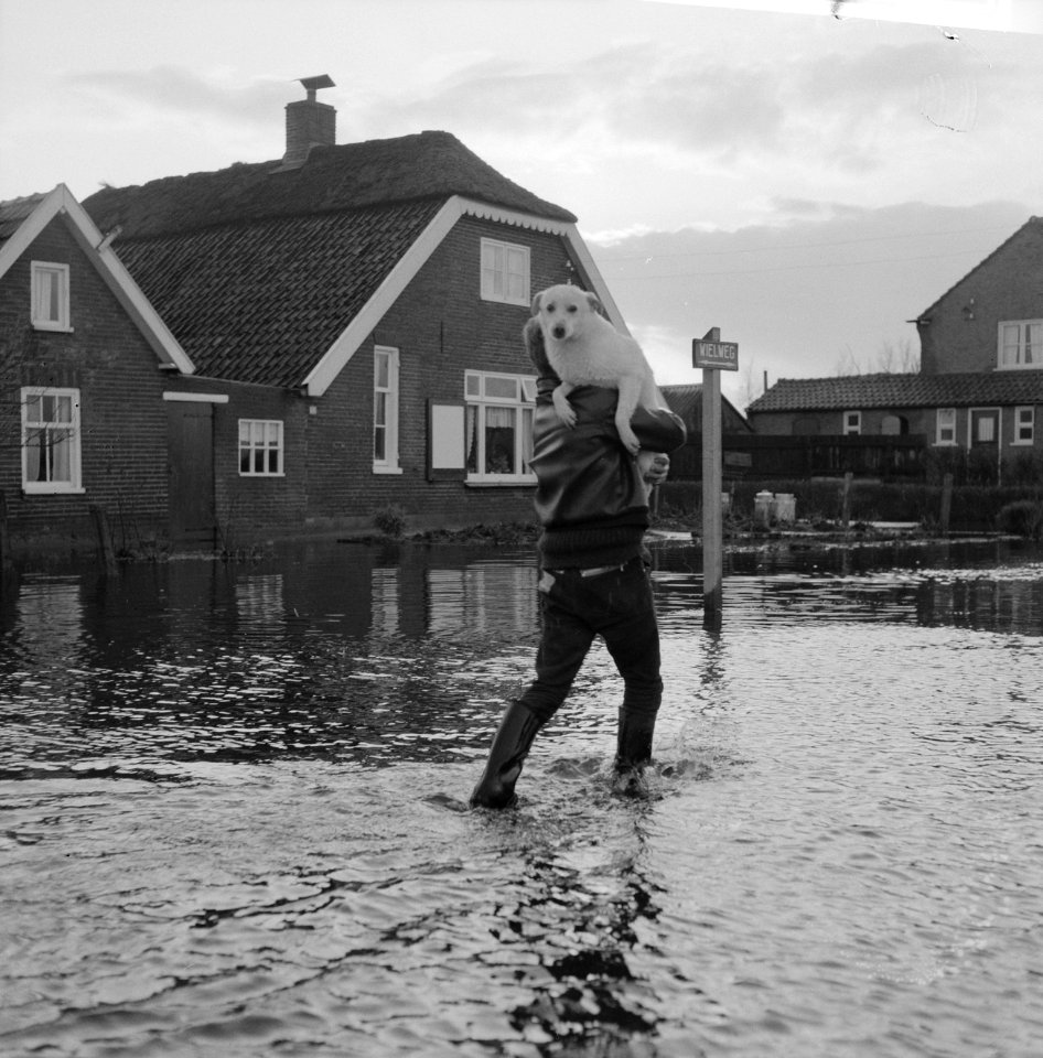 Wateroverlast in de Gelderse Vallei jongen die door het water loopt met een hon, Bestanddeelnr 918-5501