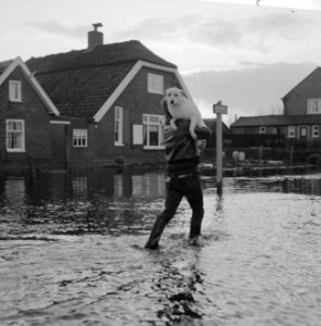 Wateroverlast in de Gelderse Vallei jongen die door het water loopt met een hon, Bestanddeelnr 918-5501