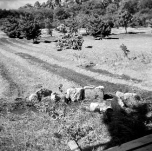 Watertank op plantage San Juan van Harry Maal op Curaçao, Bestanddeelnr 252-7538