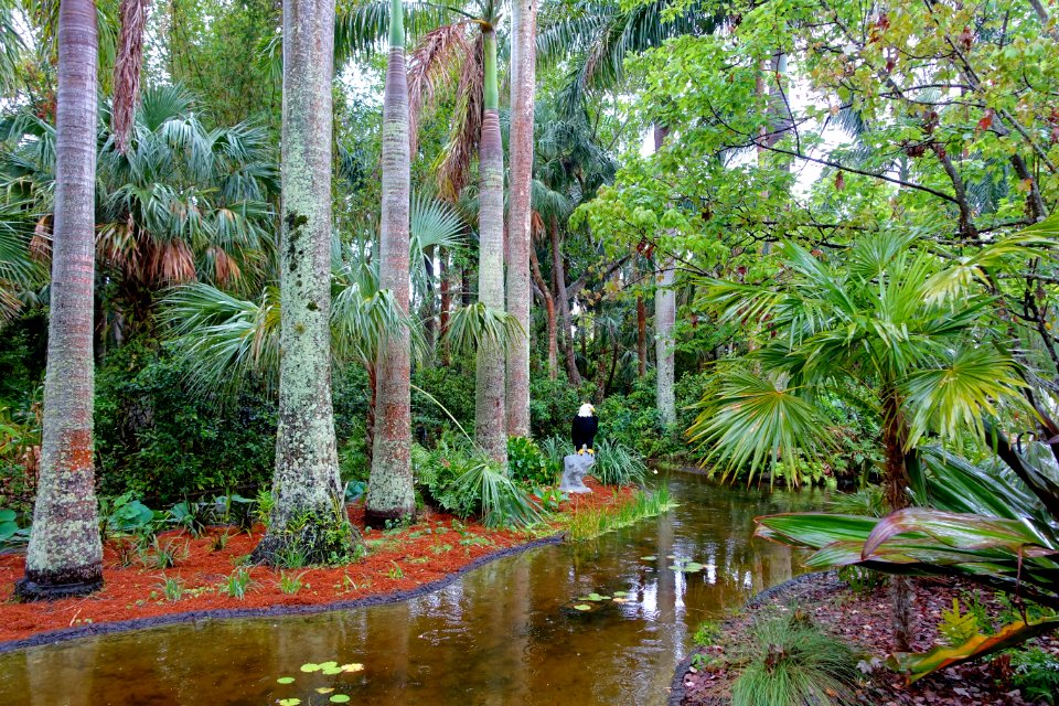 Waterway - McKee Botanical Garden - Vero Beach, Florida - DSC03250