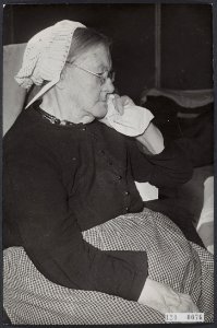 Watersnoodramp 1953. In Rotterdam in de Ahoy-hal arriveren de evacues bij honder, Bestanddeelnr 124-0076
