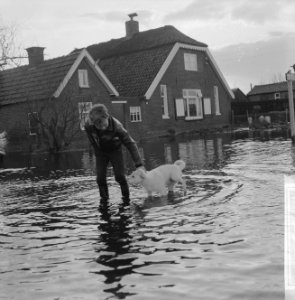 Wateroverlast in de Gelderse Vallei jongen met zijn hondje wandelend in het wat, Bestanddeelnr 918-5500