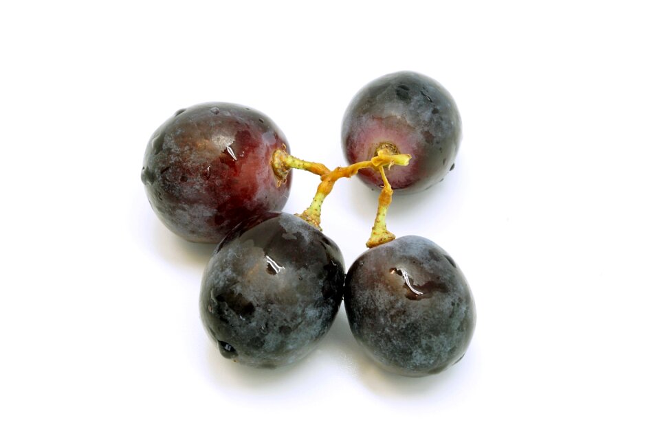 Fruits blue healthy