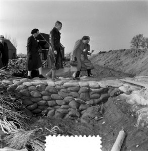 Watersnoodramp 1953. Koningin Juliana bezoekt Nieuw-Vossemeer, Bestanddeelnr 905-6098