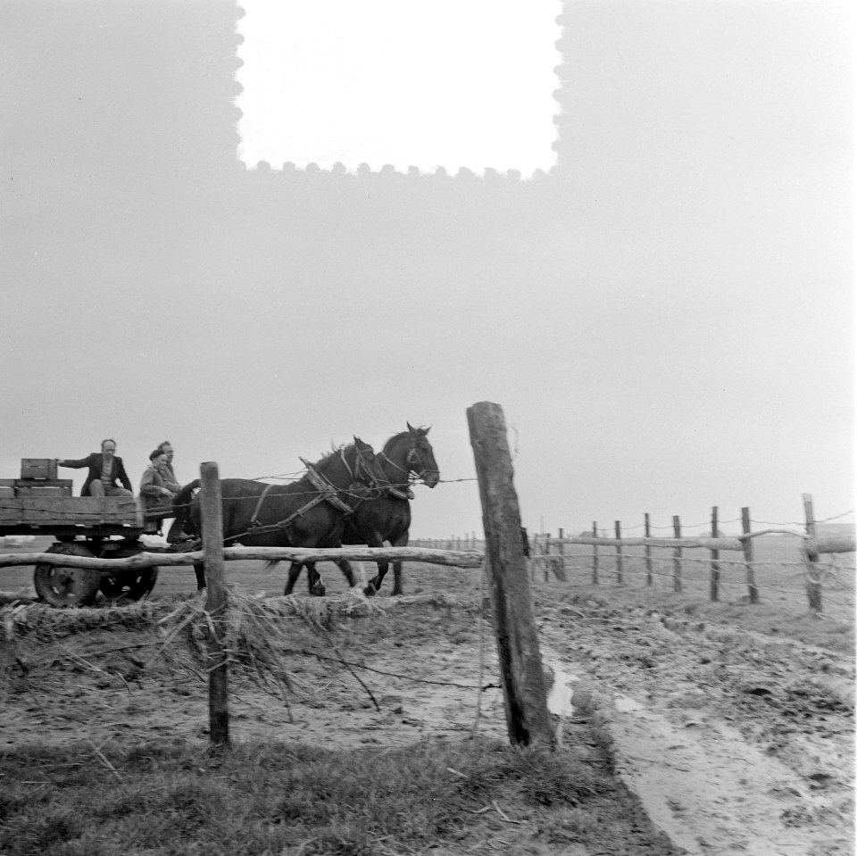 Watersnoodherstel Rozenburg, Bestanddeelnr 905-5690