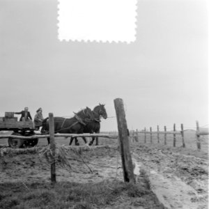 Watersnoodherstel Rozenburg, Bestanddeelnr 905-5690