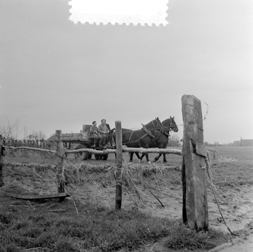 Watersnoodherstel Rozenburg, Bestanddeelnr 905-5691
