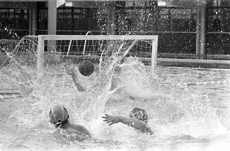 Waterpolo Nederland tegen Rusland, aanval Nederland, Bestanddeelnr 920-2824