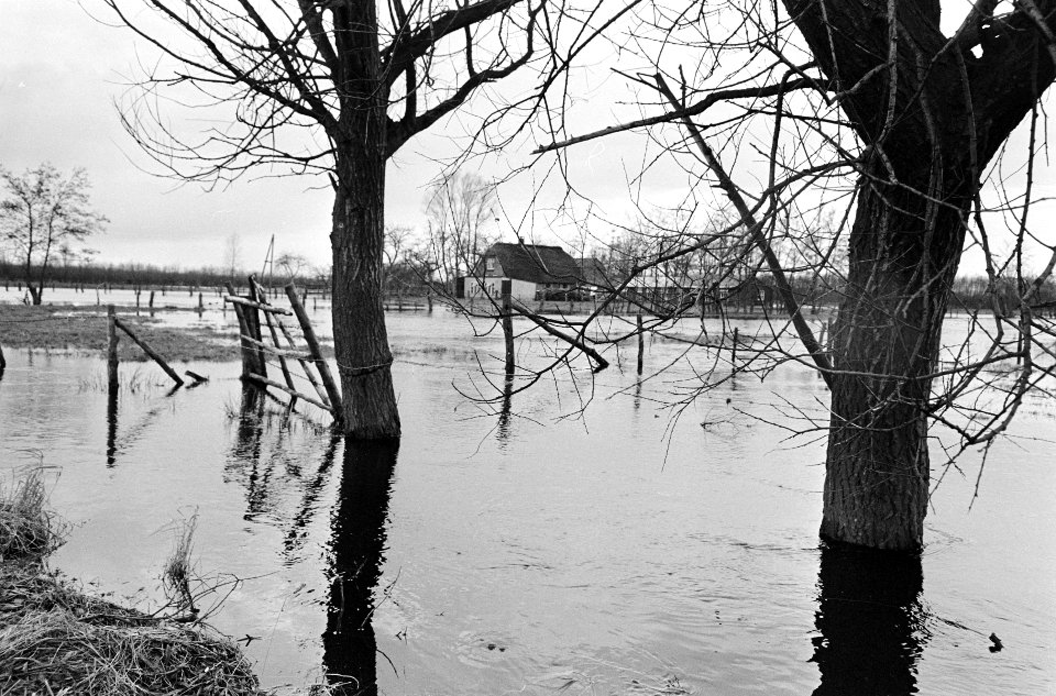 Wateroverlast in Gelderse vallei, hier bij Zwartbroek, Bestanddeelnr 919-8482