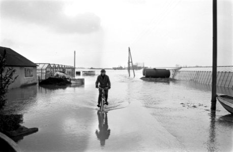 Wateroverlast in Limburg door hoge stand van de Maas. Kassen in water, man op fi, Bestanddeelnr 923-2944