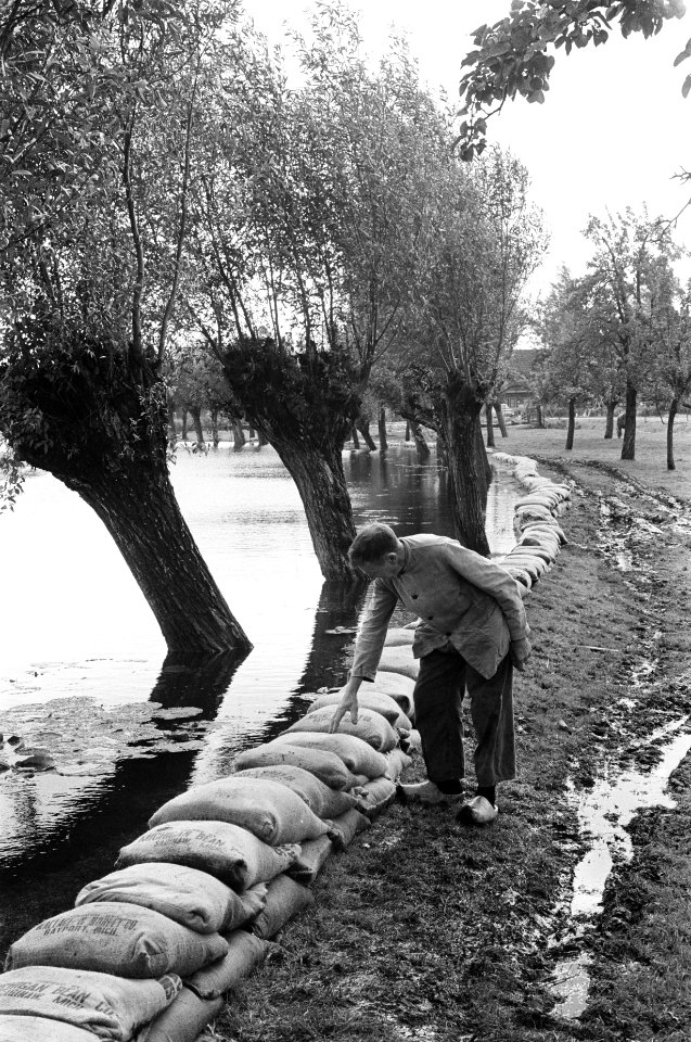 Wateroverlast in Harmelen Met zandzakken beschermt de boer zijn erf tegen het w, Bestanddeelnr 915-4717